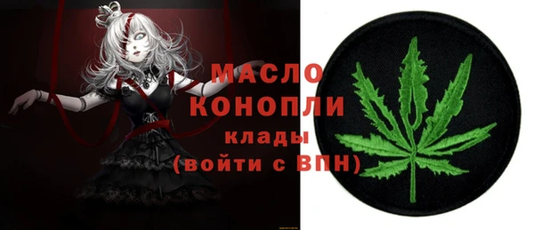 СК Алексин