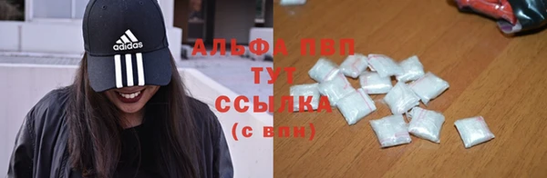 СК Алексин