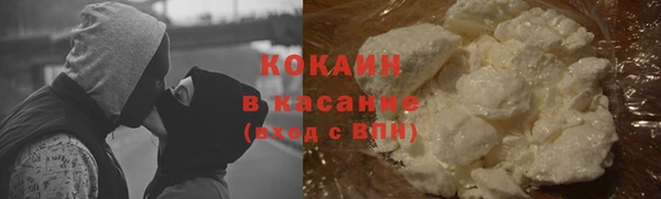 СК Алексин