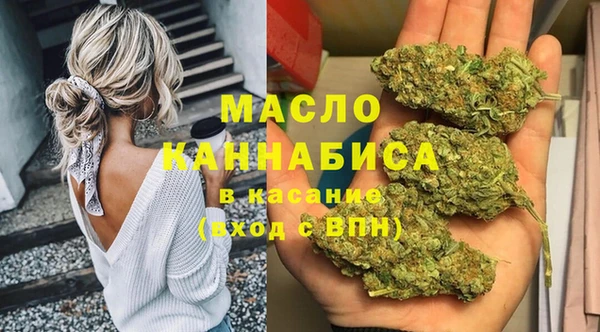 СК Алексин