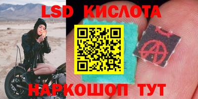 сатива Краснокаменск