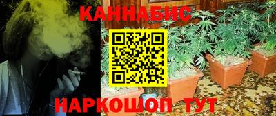 СК Краснознаменск