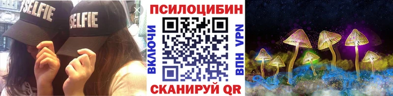 где купить наркоту Заволжье Псилоцибиновые грибы прущие грибы