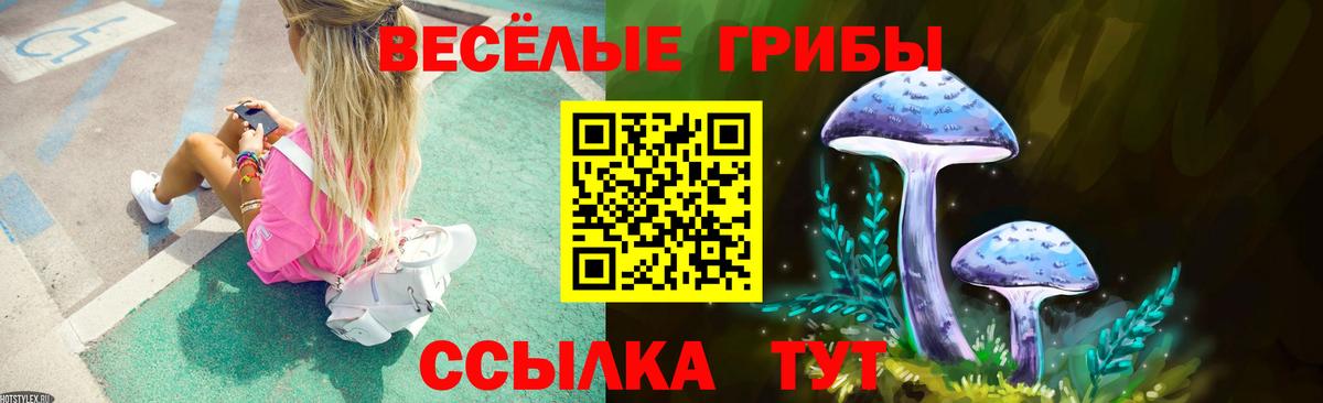 Галлюциногенные грибы Psilocybe Заволжье